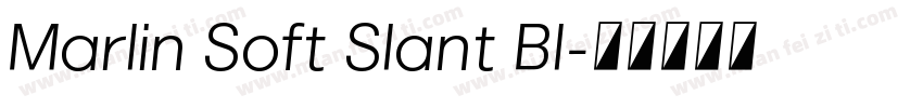 Marlin Soft Slant Bl字体转换